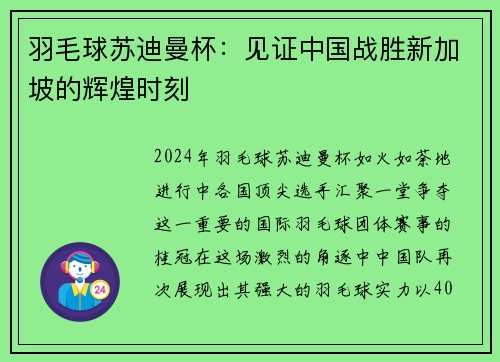 羽毛球苏迪曼杯：见证中国战胜新加坡的辉煌时刻